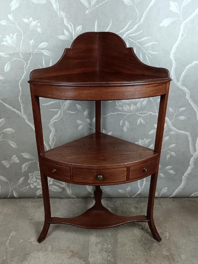 Georgian Mahogany Corner Washstand (1).jpg